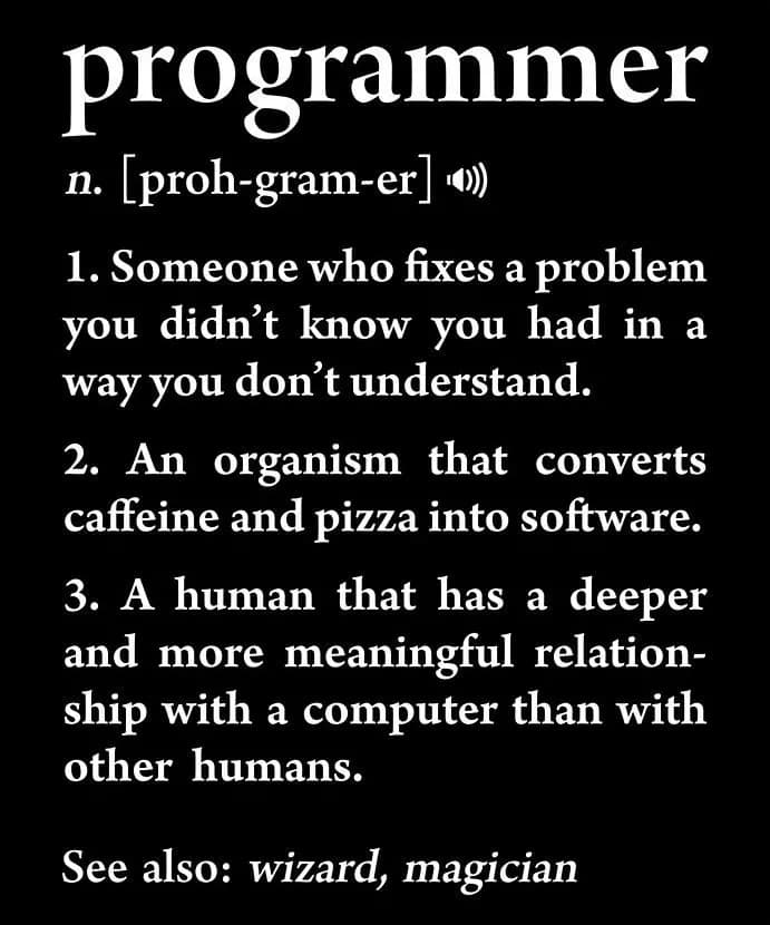 Programmer Definition